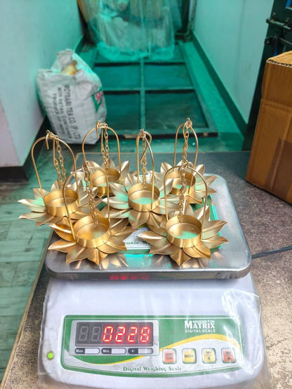 Hanging Baby Lotus 6 pcs Set